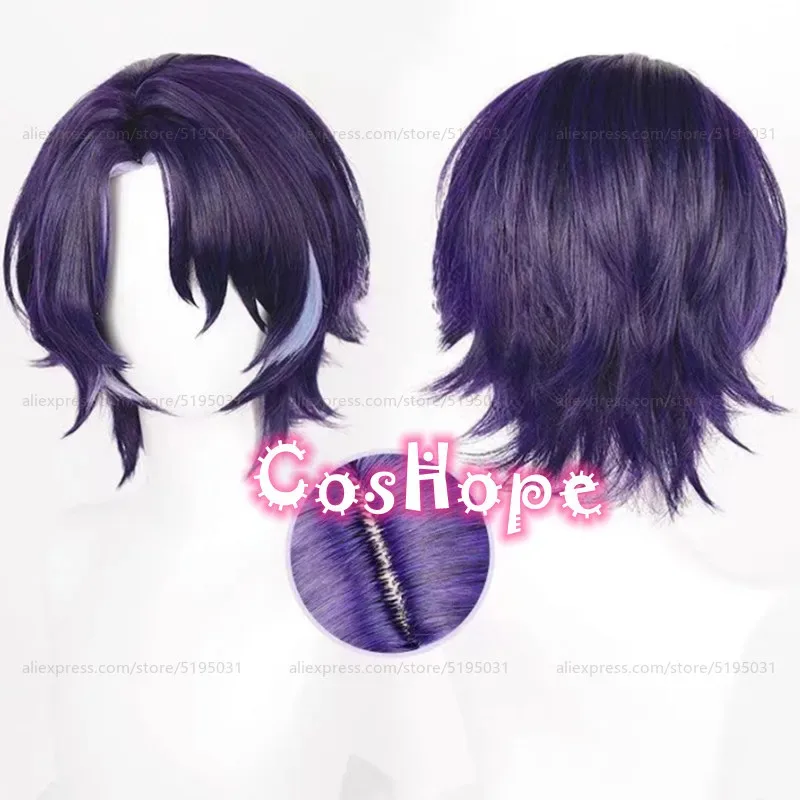 

Dr. Ratio Cosplay Wig 33cm Short Wig Dark Blue Purple Highlights Wig Cosplay Anime Cosplay Heat Resistant Synthetic Wigs