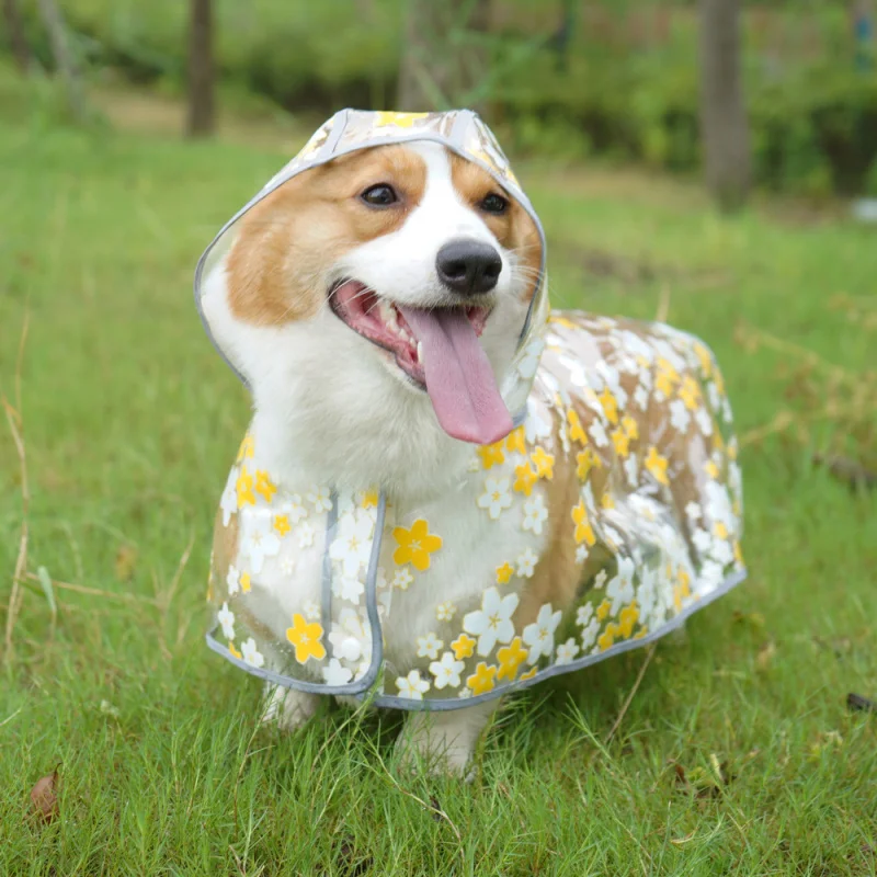 

chongtaIn Stock Small Corgi Dog Raincoat Transparent Pet Clothes Batch