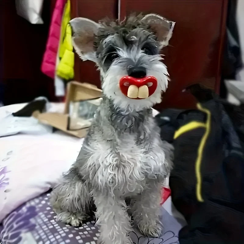 1pc Random Type Funny Pet Pacifier Chew Toy For Dogs - Interactive Red Lip Shaped Toy For Play And Dental Health