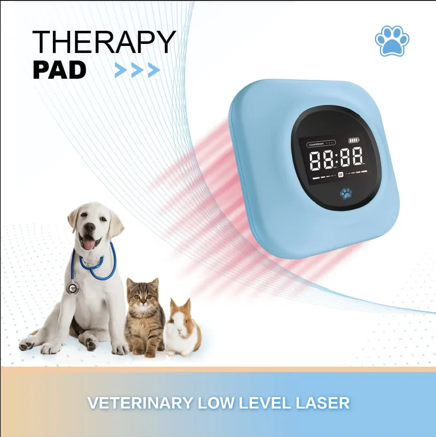 Custom logo 650nm/808nm infrared light laser panel therapy would healing dog laser therapeutic instrument for pain