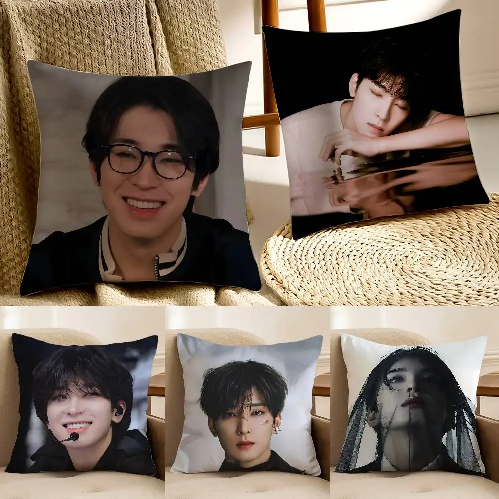 

Kpop W-WonwooS Pillow Case Anti-dustmite Invisible zipper Sofa Bed