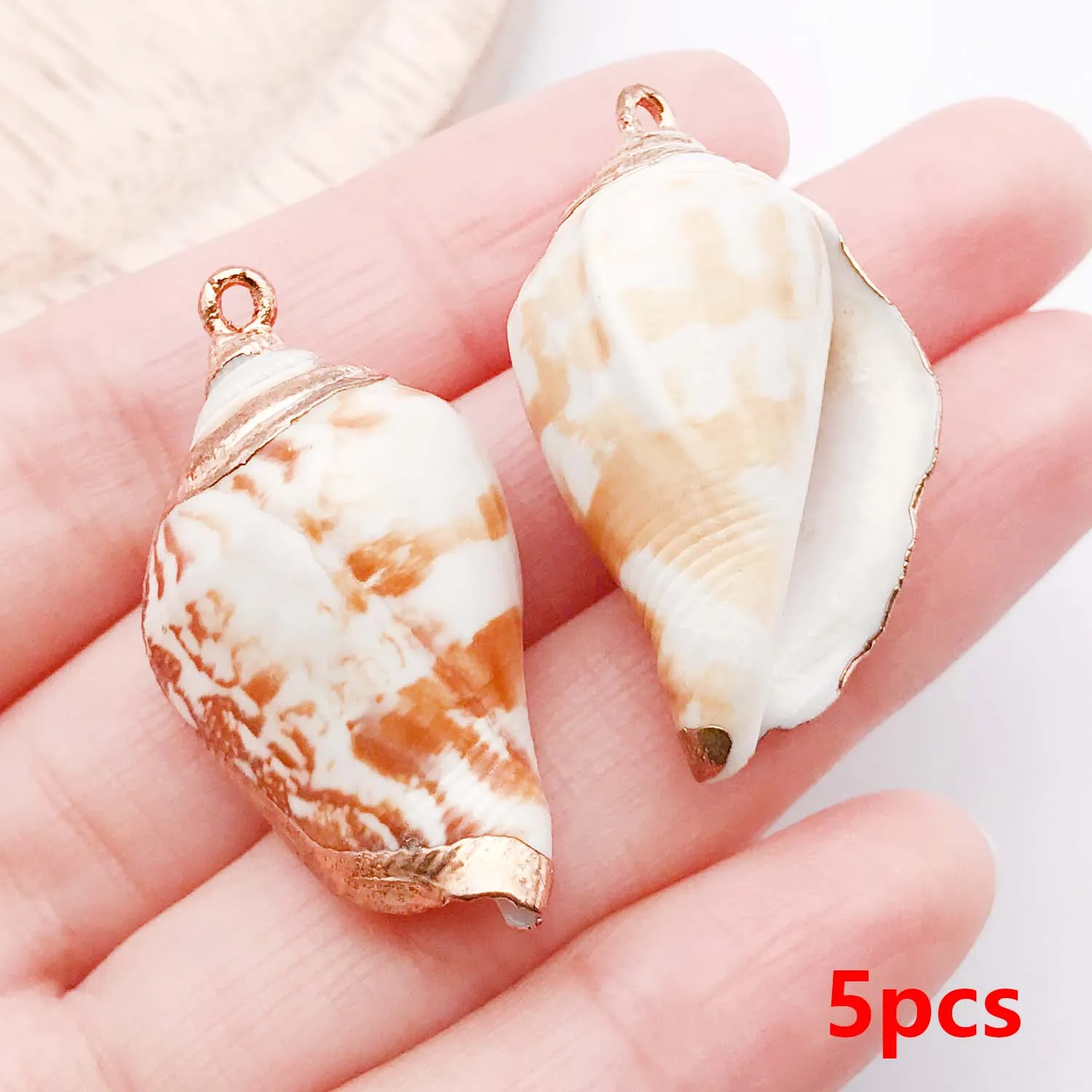 5pcs Natural Seashell Charms for DIY Jewelry Making
