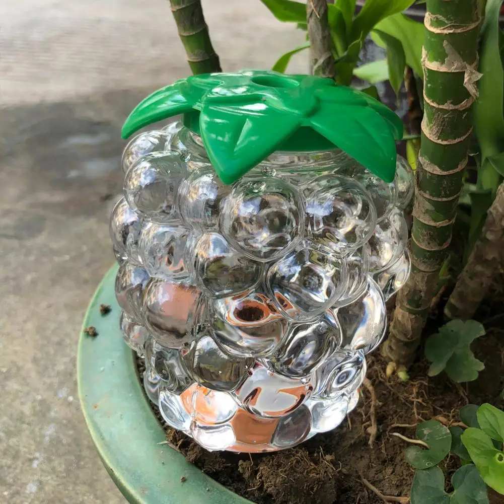 Automatic Plant Waterer Automatic Plant Watering Bulb Set Grape Shaped Self Watering Globes with Spikes Indoor Potted Plants