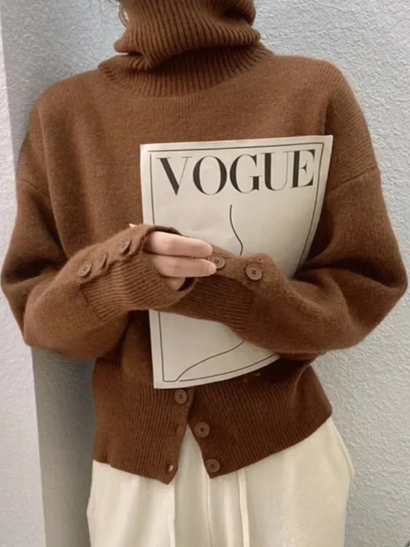 

Стильный корейский трикотаж с высоким воротником, облегающий, для женщин, мягкий, уютный, для носки под одеждой, теплый, для ранней весны, осени и зимы, базовый слой