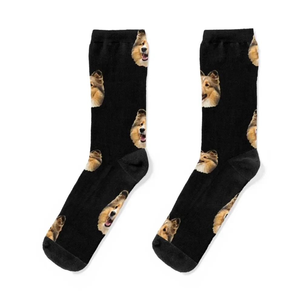 

Cute Sheltie Dog, Sheltie Socks warm winter colored compression Non-slip Girl'S Socks Men's