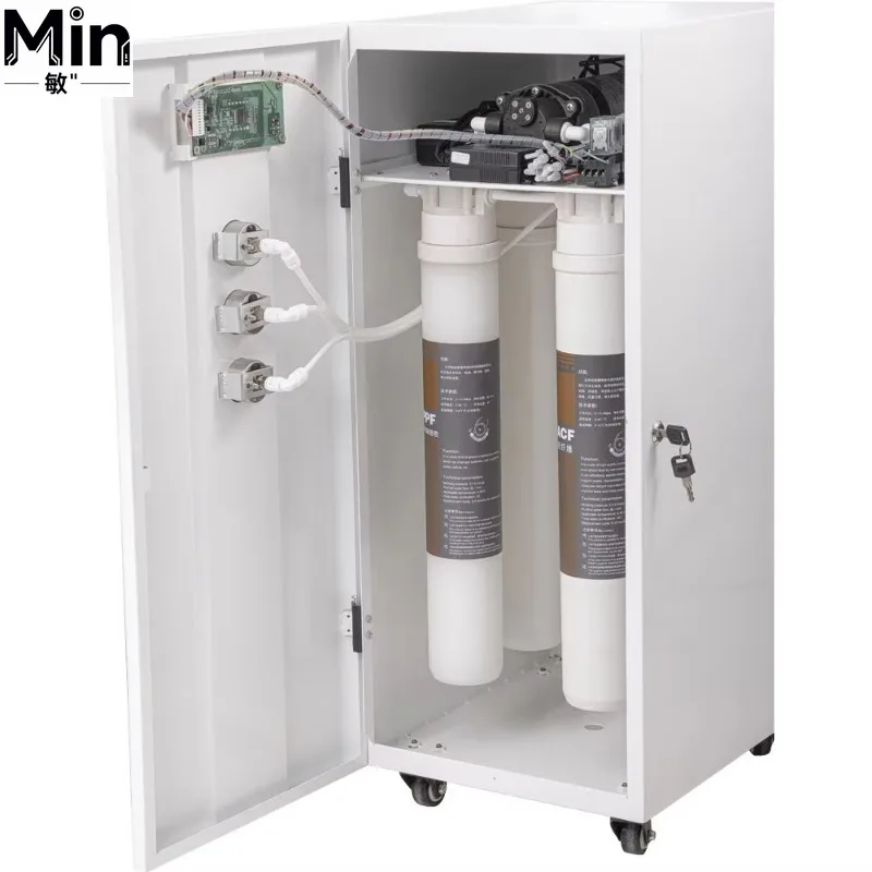 UP60LPH Laboratory Pure EDI Water Purifier Commercial Deionized Water Filter for Lab Hotel