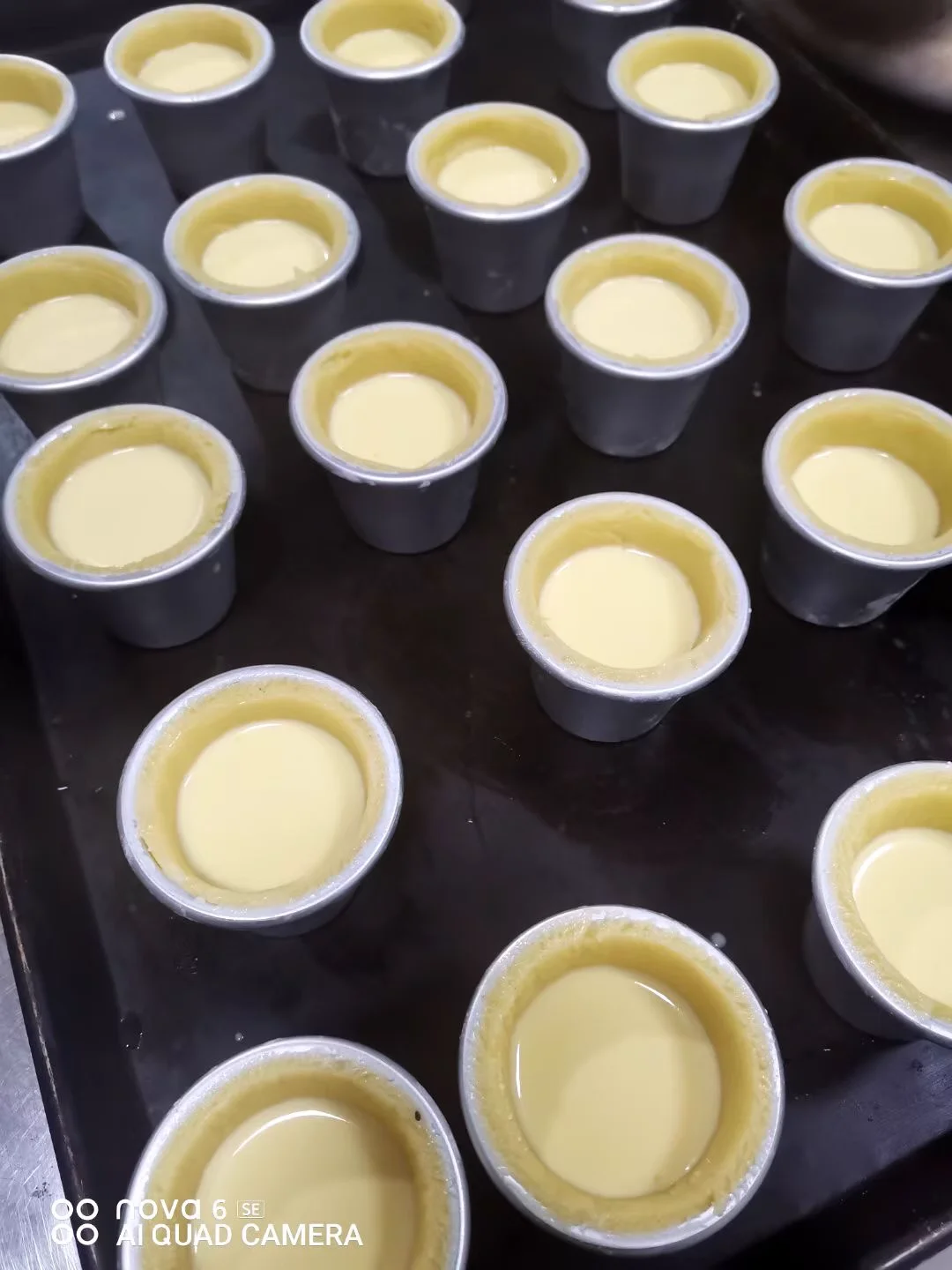 XEOLEO 수동 에그타르트 크러스트 프레스 기계 부품 PE 흰색 몰드 에그타르트 크러스트 프레스 도구