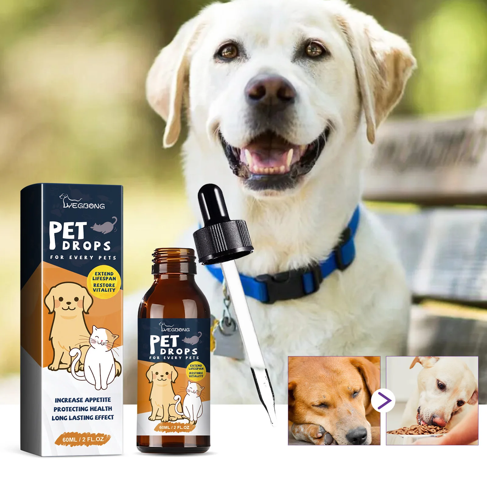 Pet Nutrition Supplement Gastrointestinal Care Stomach Conditioning Improve Digestion Health Enhance Appetite Dog Health Drop