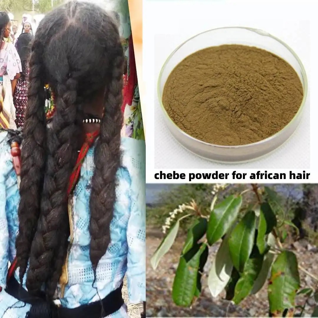 Chebe en polvo de Chad 100% crecimiento natural del cabello, mejora la densidad del cabello, nutre los folliculos, productos humectantes para el cabello rizado 100 g