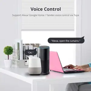 Zemismart Zigbee Rolly Shadow Bloods Motor zu 17 25 28mm Smart Tube Elektrisch Vorhang Motor arbeitet mit Tuya Alexa Google Home zusammen 8 Hauptverkauf Moto de Shutga - №1