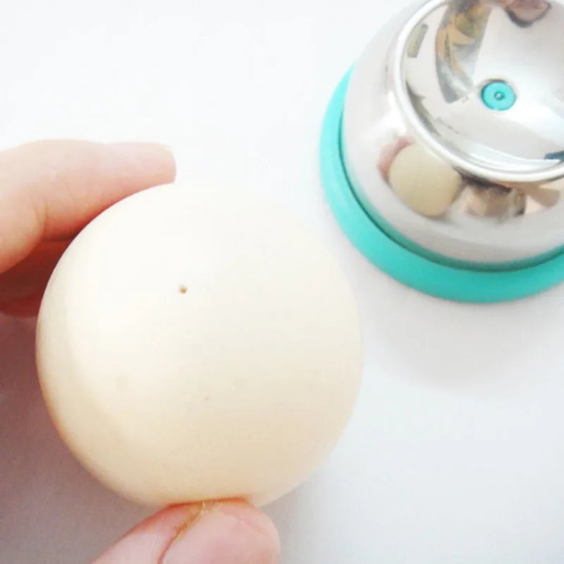 Pelubang telur lubang telur jarum Stainless Steel, alat dapur roti tahan lama untuk telur mentah