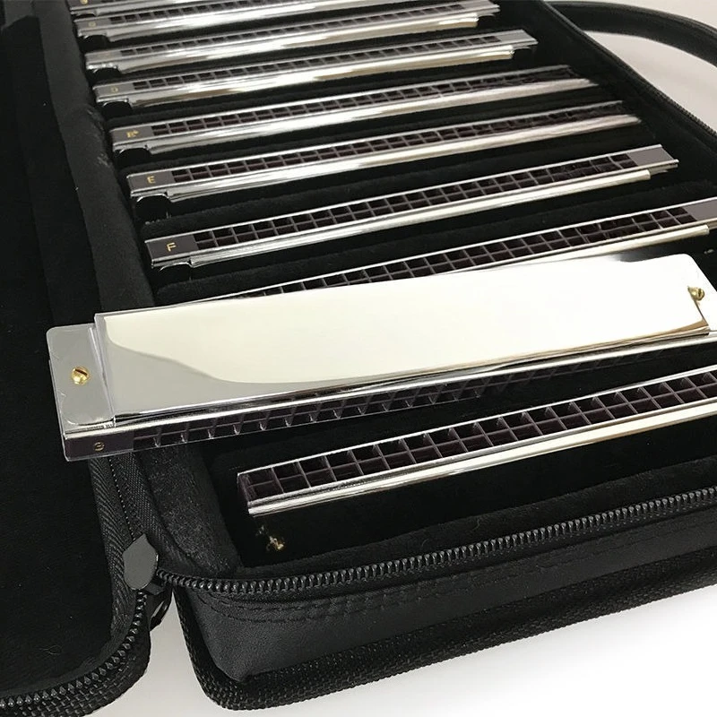 24-Hole polyphonic harmonica 12-tone combination set W24 beginner adult student performance