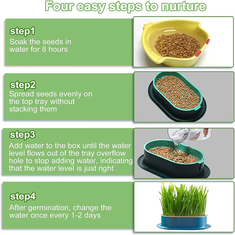 Cat Snack Cat Mint Planting Hydroponic Box Cat Grass Pot Color Contrast Hydroponic Cat Grass Box Set Catgrass Planting Bowl