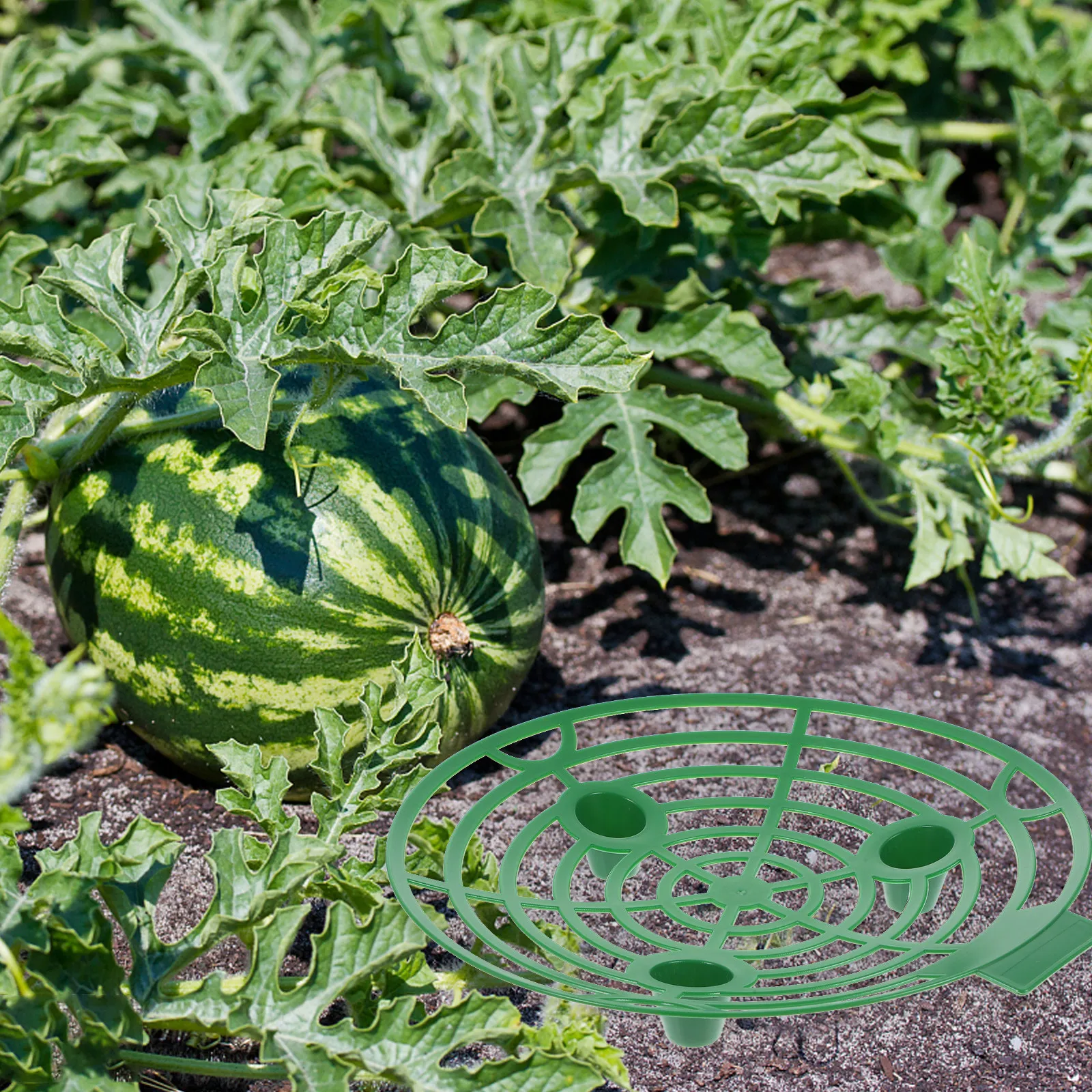 

10Pcs Strawberry Supports Plastic Gardening Climbing Rack Plant Growing Stand Garden Support Frame for Strawberry Plants