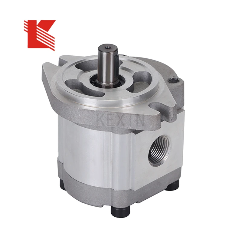 

Two-way gear pump can rotate the hydraulic gear pump clockwise and counterclockwise