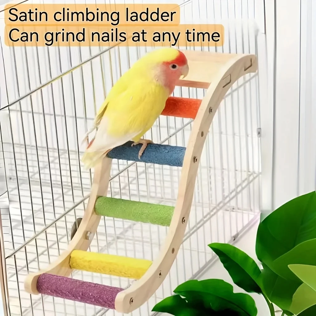 Thumbnail 2 - #34 Latest Bird Ladders & Perches Offers