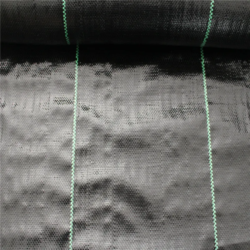 Agricoltura Anti UV pp Tessuto Geotextile Tappetino per il controllo delle erbacce Foglio di plastica in polietilene PE Doppio rivestimento Tela impermeabile