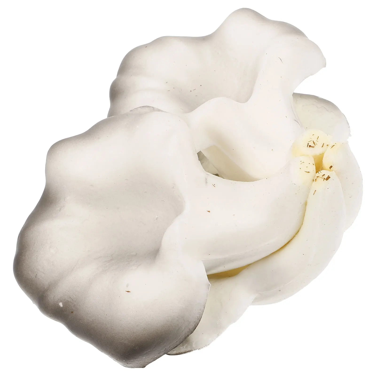

Simulated Oyster Mushrooms Garden Ornaments Decoration Props Miniature Eva Figurine