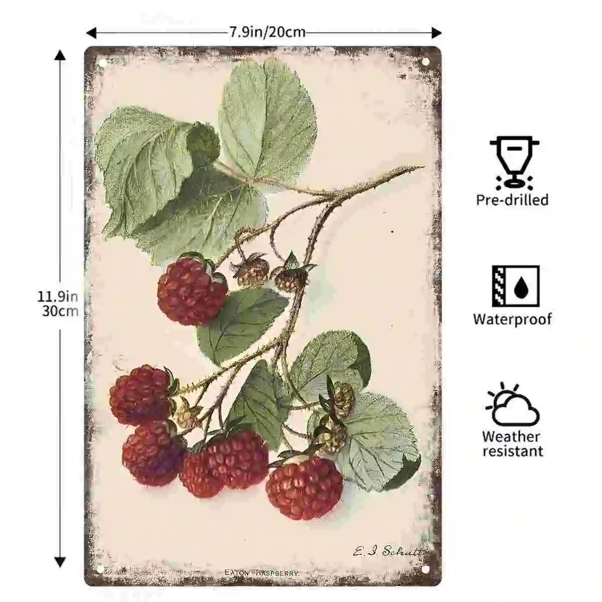 2D FLAT 1pc Vintage Raspberry Botanical Wall Art Decoration for Home Kitchen Cafe Bedroom And Garden
