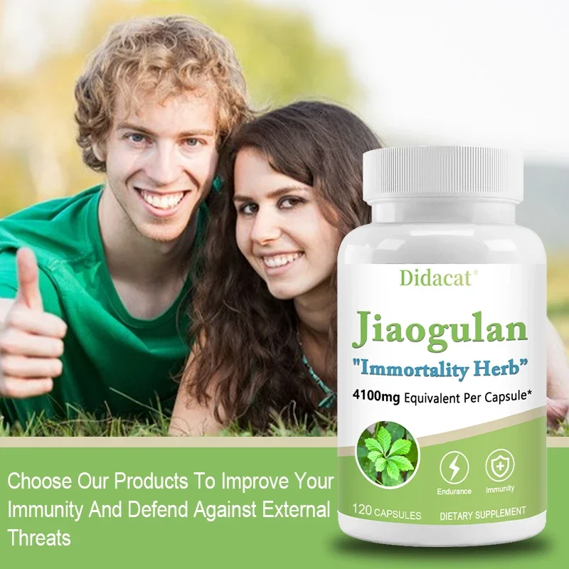 Jiaogulan  Antioxidants, Metabolism, Mitochondrial Support, Energy Levels, Focus