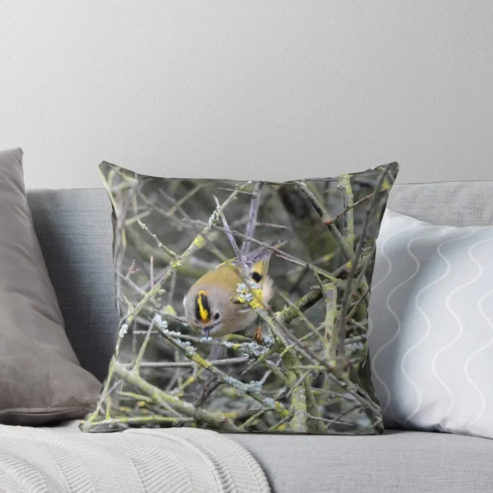

GOLDCREST Throw Pillow autumn pillowcase Sofa Cushion Christmas Pillow Covers Decorative pillow case