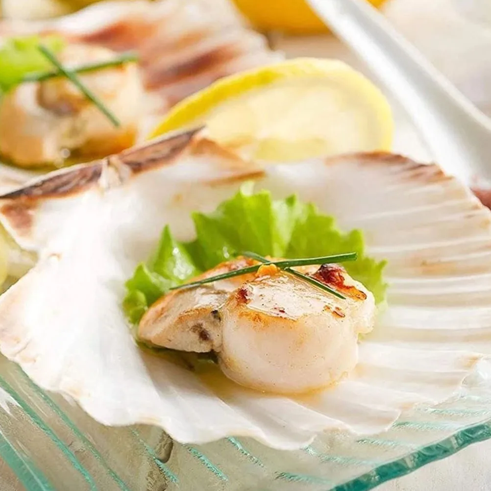 

10Pcs Shell Dinner Plates Shell Shape Snack Tray for Wedding Banquet Fruit Tray Natural Scallop Food Dish Decor