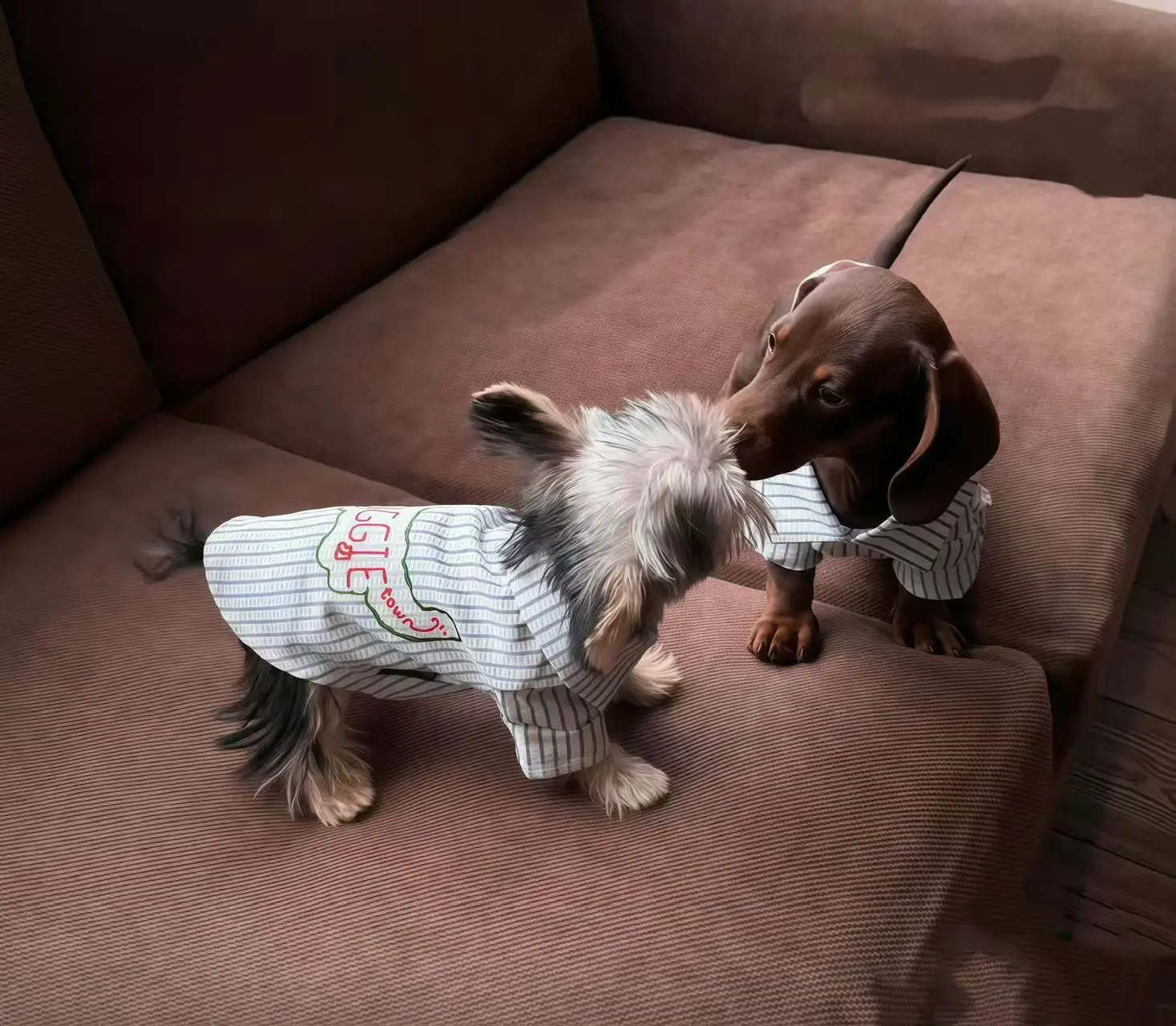 

ЛУЧШИЙ 60 Вт 6 в 1 980 нм диодный лазер для удаления сосудов удаление паукообразных вен 980 диодный лазер для удаления кровяных сосудов ногтей грибок