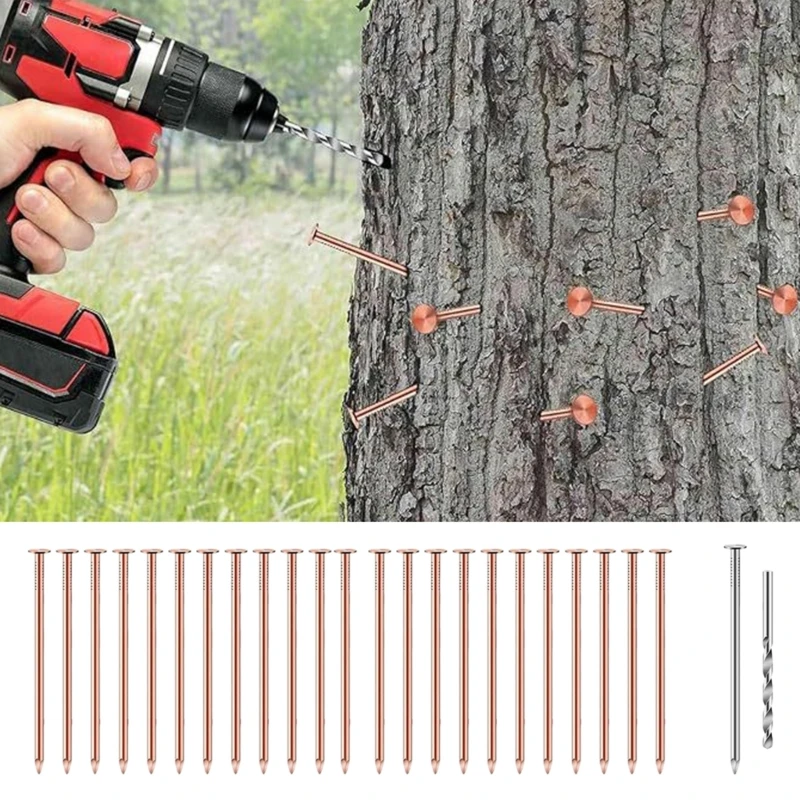 25Pcs Nails Tree Stump Killers Stump Removal Spikes with 1 Steel Nails 1 Drill Bit Nails for Slating Roofing Dropship