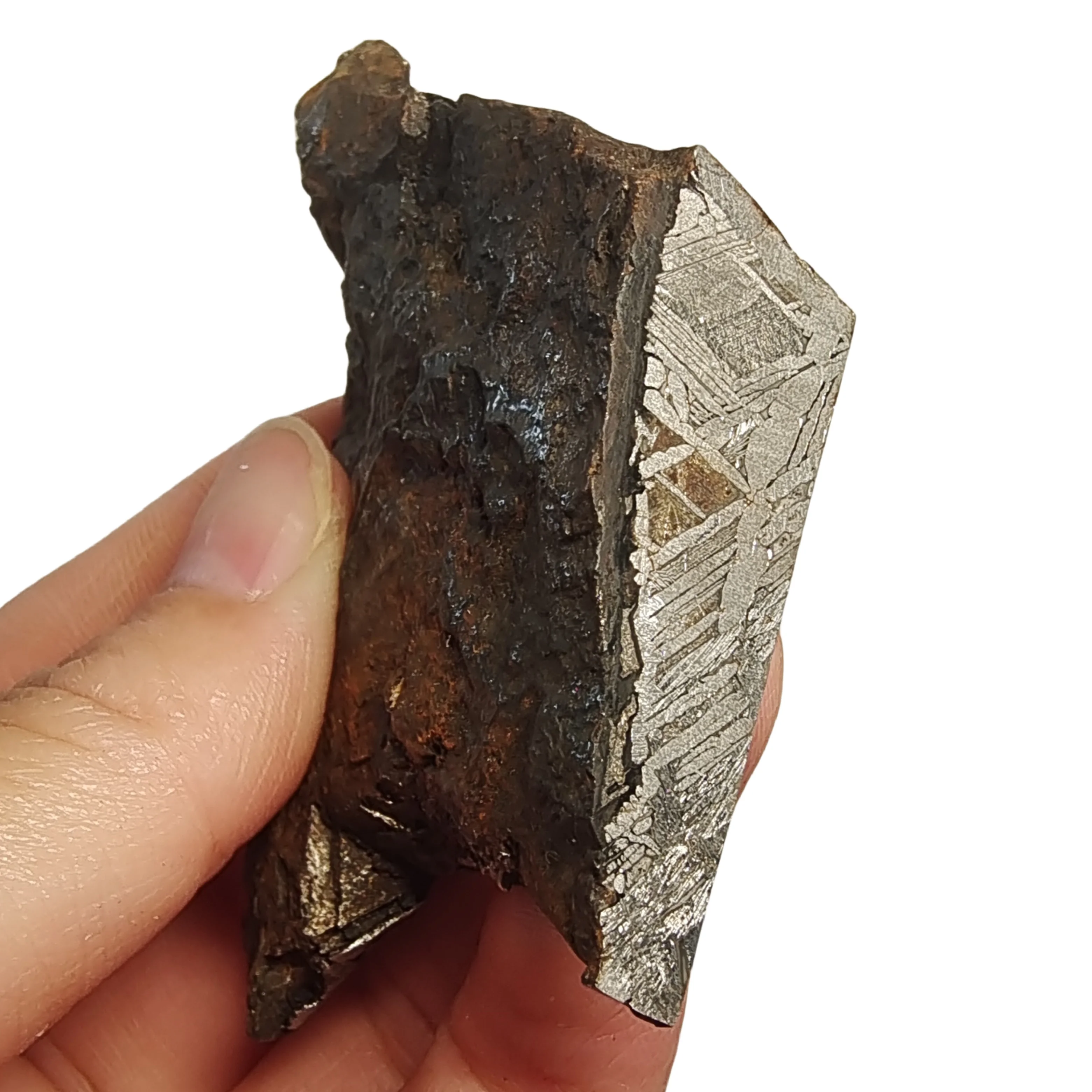 194.6g Muonionalusta Natural iron meteorite specimen section Iron meteorite materials Meteorite Specimen Collection -QC766