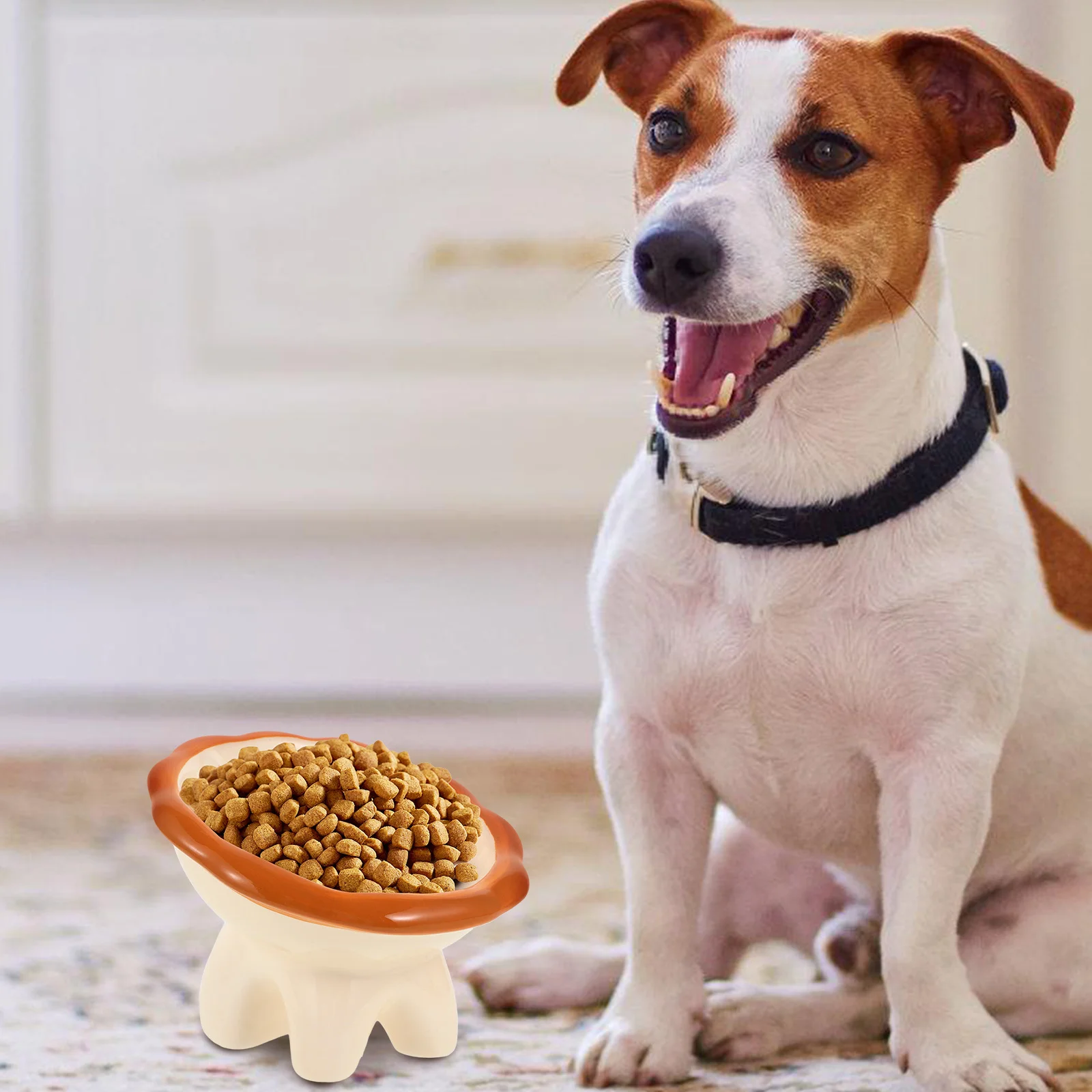 

Parliky Ceramic Pet Bowl Elevated Cat Feeder Automatic Tilted Stand for Dogs Cats Puppy Water Food Bowl Cute Non- Plate