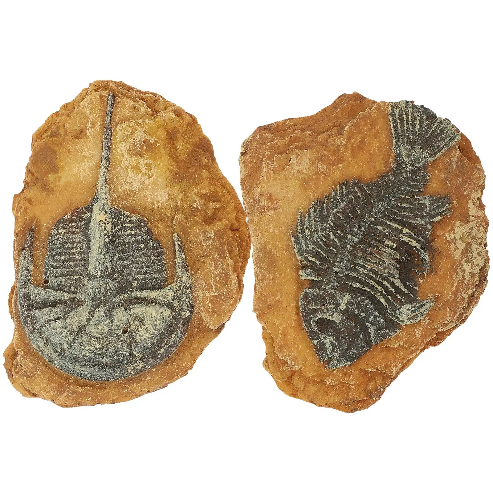 

2 Pcs Simulated Resin Fossil Bearded Dragon Habitat Decor Toys Snake Landscape Box