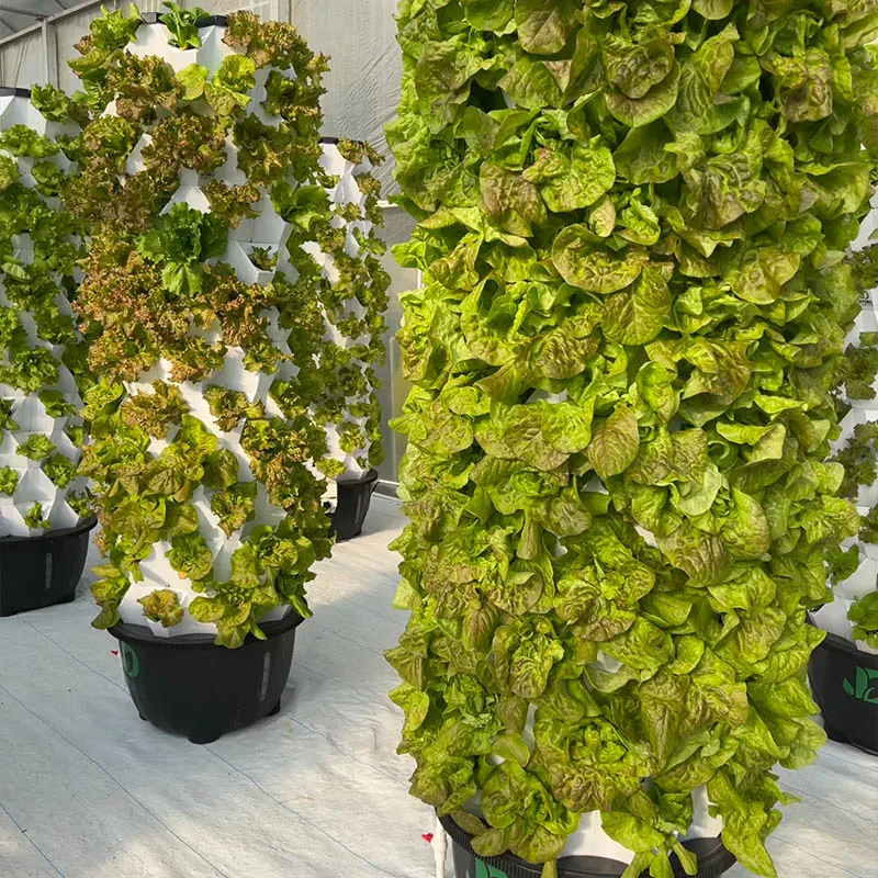 

Hot Sale Hydroponic Growing System Vertical Garden 12-Layer 65L Tank with Wheels for Growing Vegetables Irrigation Equipment