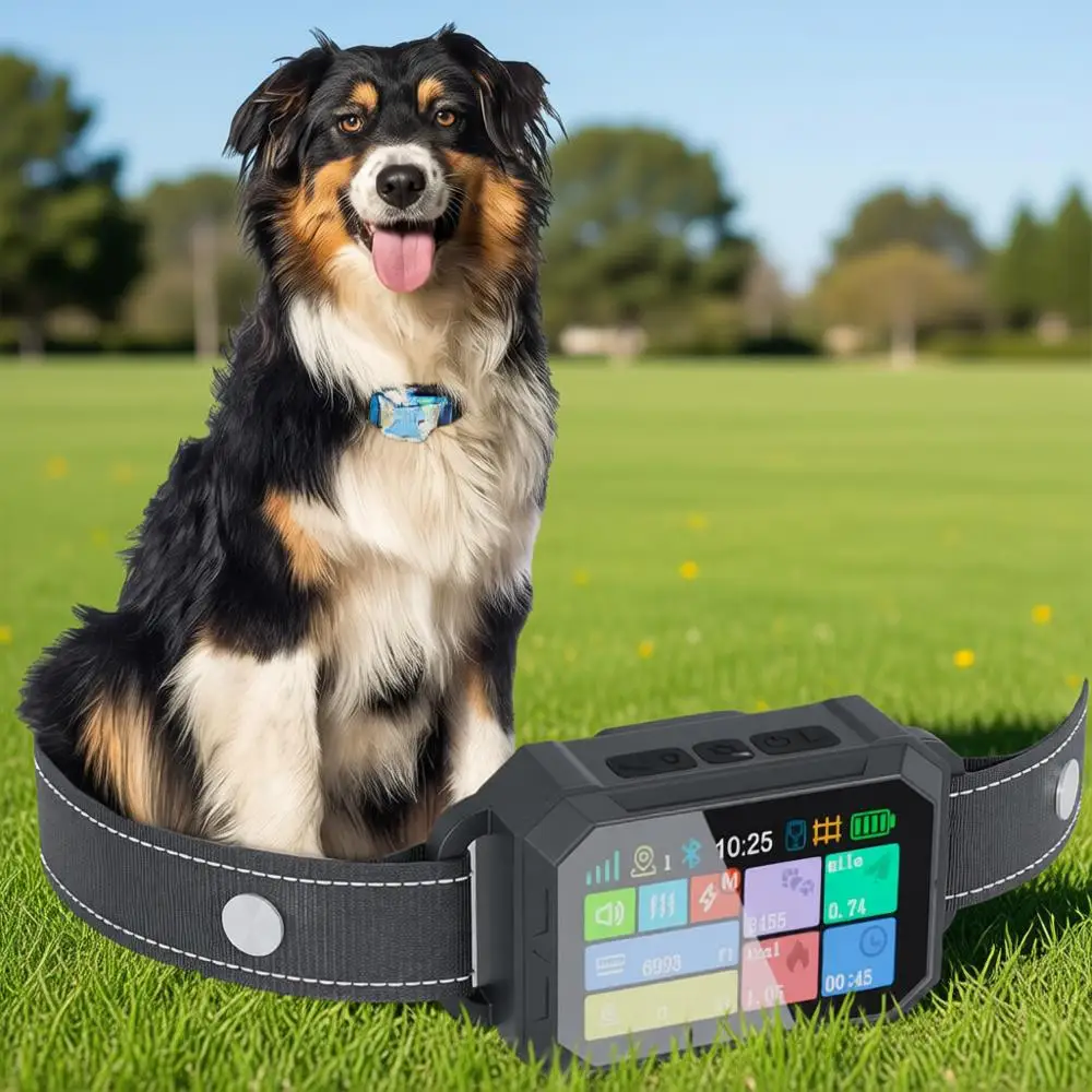 Customizable Gps Do…