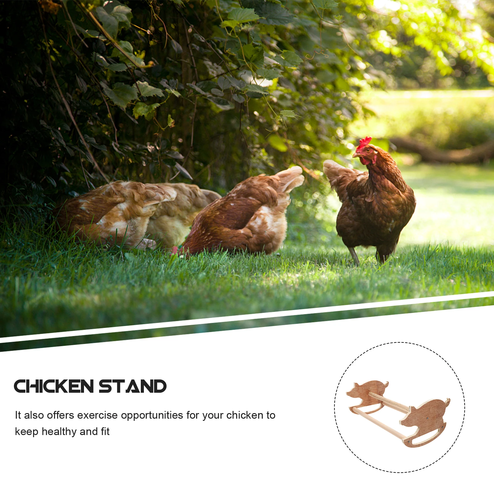 

Wooden Stand Sturdy Perch Rooster Standing Rack Farm Hen Frame Funny Pet Small Play