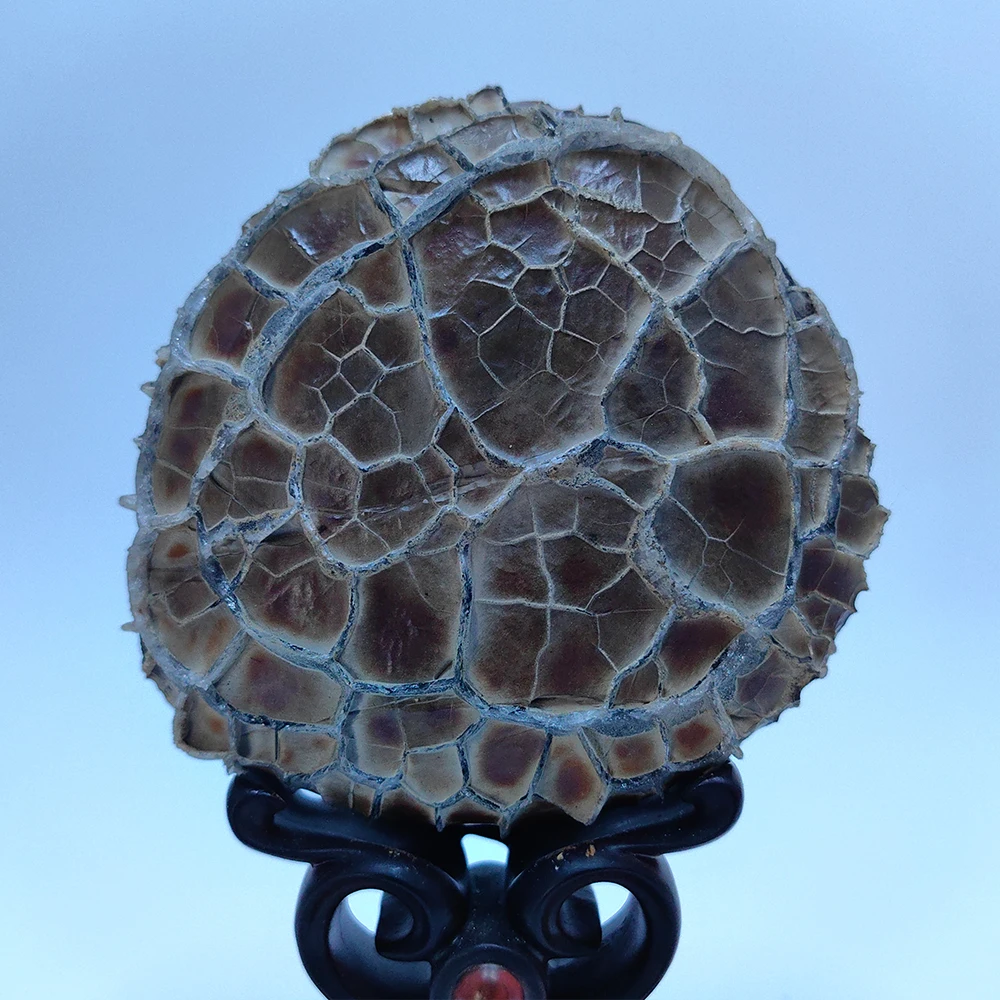 

HzzzR мужские подарки азиатские натуральные камни украшения для дома муарный камень грубый камень Cadeau Homme офисное украшение кристаллы натуральный