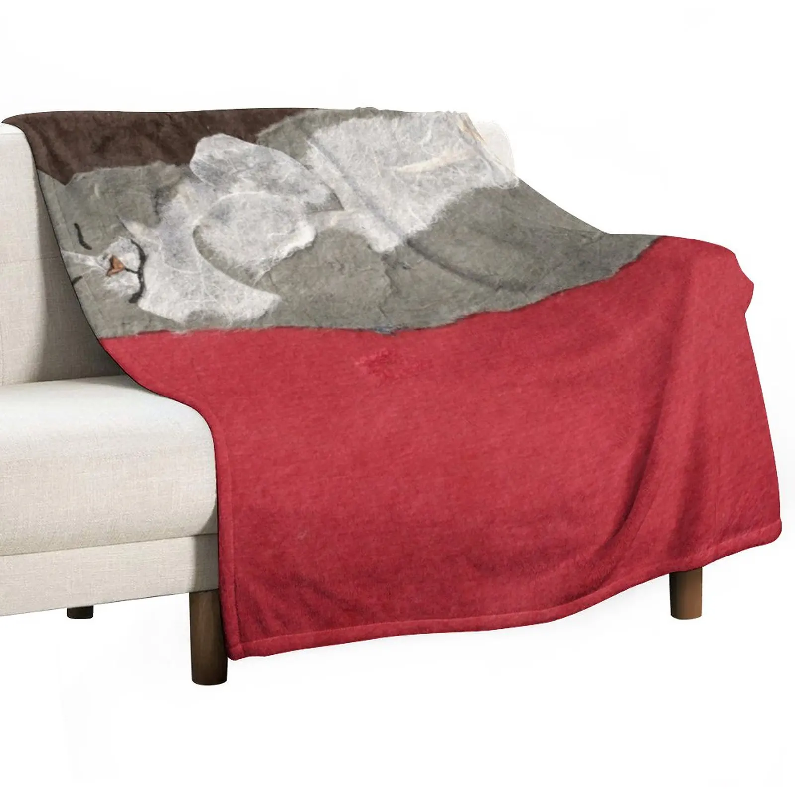 

Fluffy Gray Cat on Red Throw Blanket blankets and throws throw blanket for sofa Plaid Baby Blanket