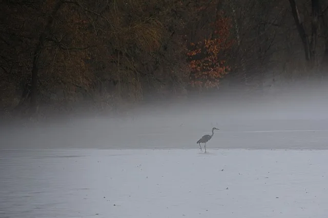 

Haiboxing 2198 1/43 RC Drift Speed Car RTR 2,4G Дистанционное управление Гоночный дрейфующий автомобиль с полным приводом Высокоскоростная модель Подарки