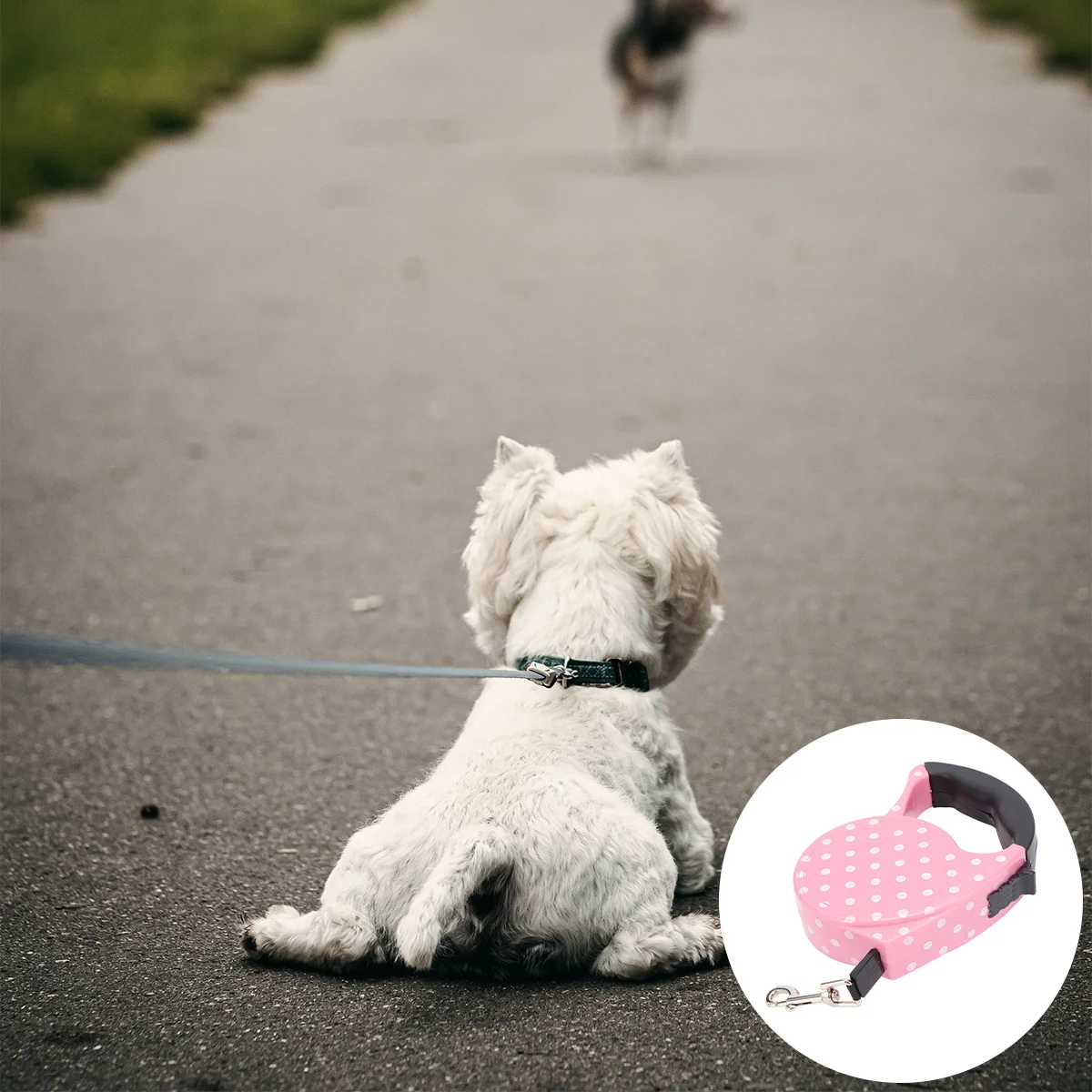 

Retractable Dog Lead Ergonomic ABS Handle Colorful Wave Strip 3-5m Lock Button Reflective Strong Safety Leash for Small Large