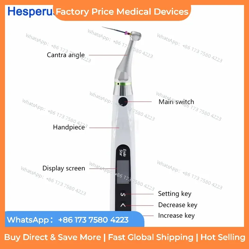 2026 High Accuracy 2 in 1 Wireless Endo Motor With Built-in Apex Locator and 6:1 Mini Head Contra Angle fastshipping