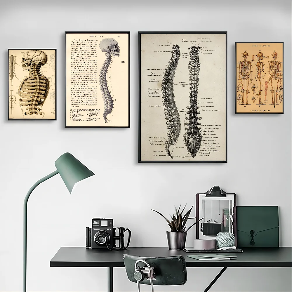 1PC Retro Human Organ System Skeleton Anatomy Poster Paper Print Home Living Room Bedroom Entrance Bar Restaurant Cafe Art