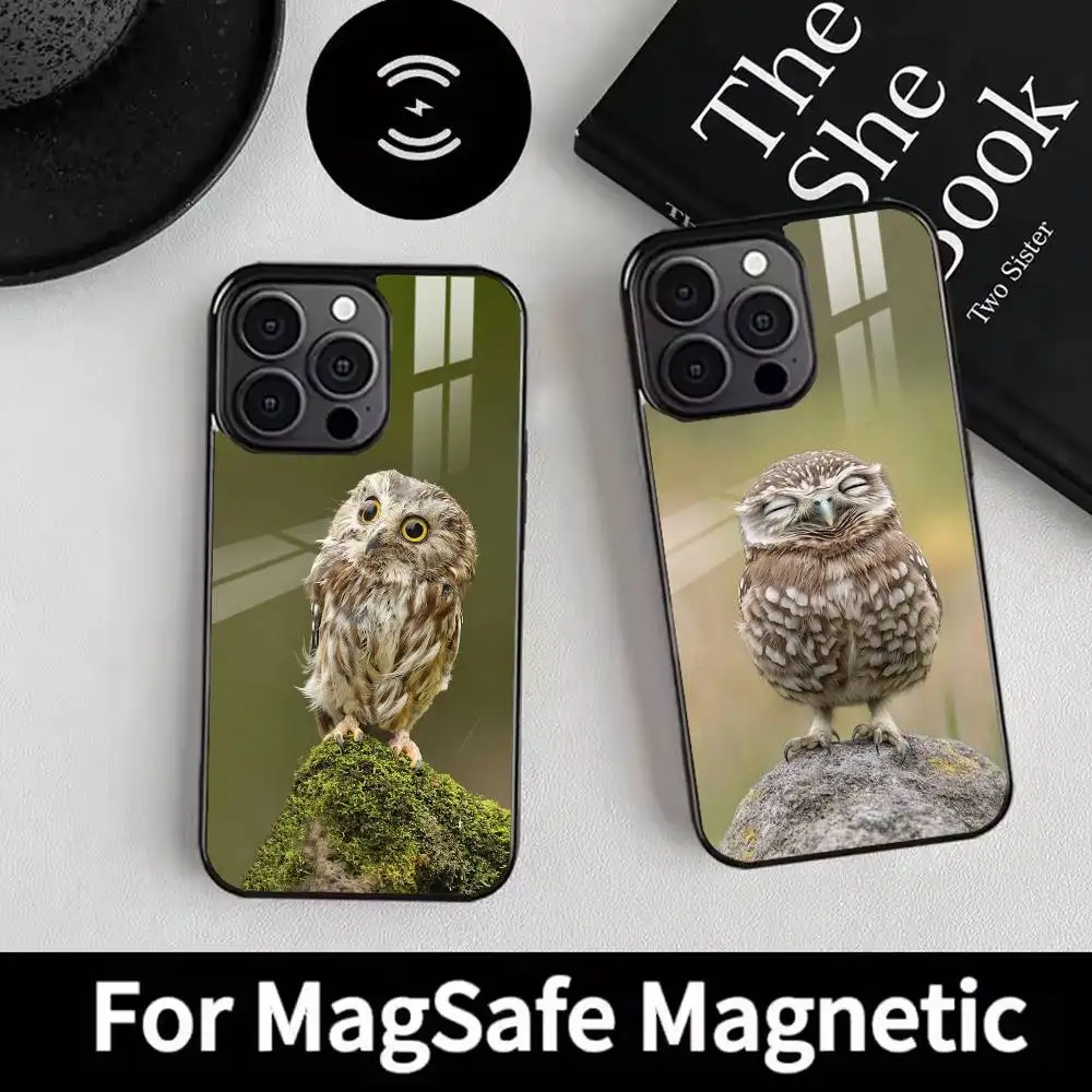 

Bird Owl Cute Phone Case For iPhone 17,16,15,14,13,12,Plus,Pro,Max for Magsafe Magnetic Wireless Charging