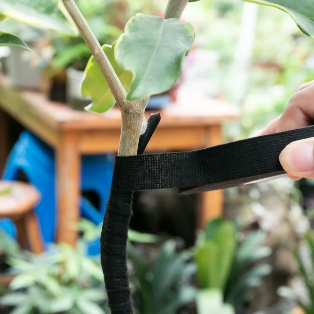 شريط نبات مخملي أسود مرطب للنباتات بوعاء مادة قوية قابلة للتمزيق يدويًا مثالية لأدوات البستنة لتصفيف بونساي