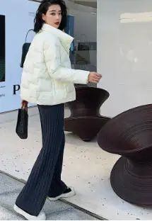 Women's Parkas Autumn Winter stand-up collar Lightweight thin Short 2025 New Female Loose Cotton Jacket Leisure Overcoat