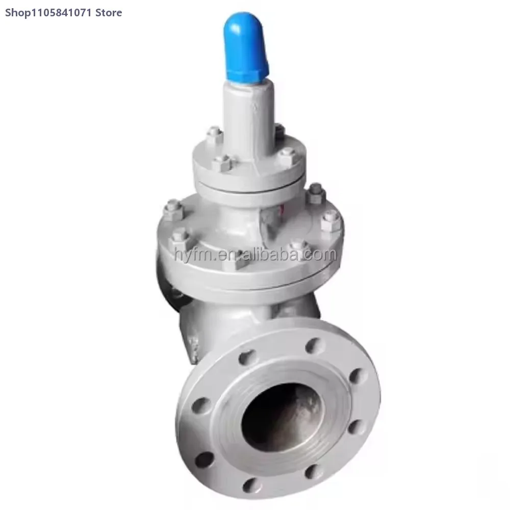 DP17 Water Pressure Reducer DP143 Air Regulator Steam Decompression Regulators Low Gas Measuring Instruments Measurement Tools