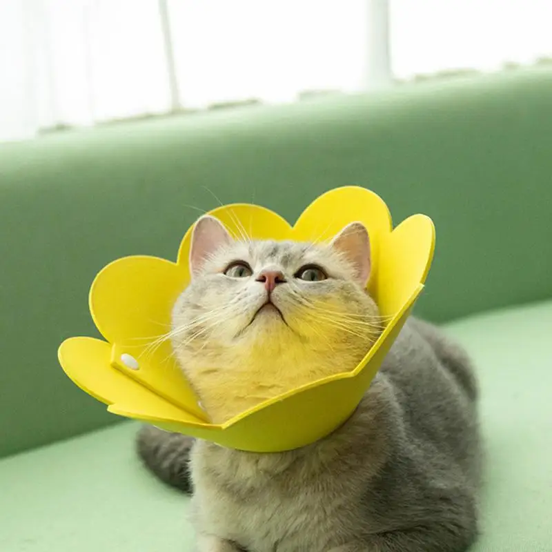 Flower Shaped Cute Anti-bite New Creative Pet Accessories Recovery Collar Wound Healing Protective Cone For Kitten Puppy