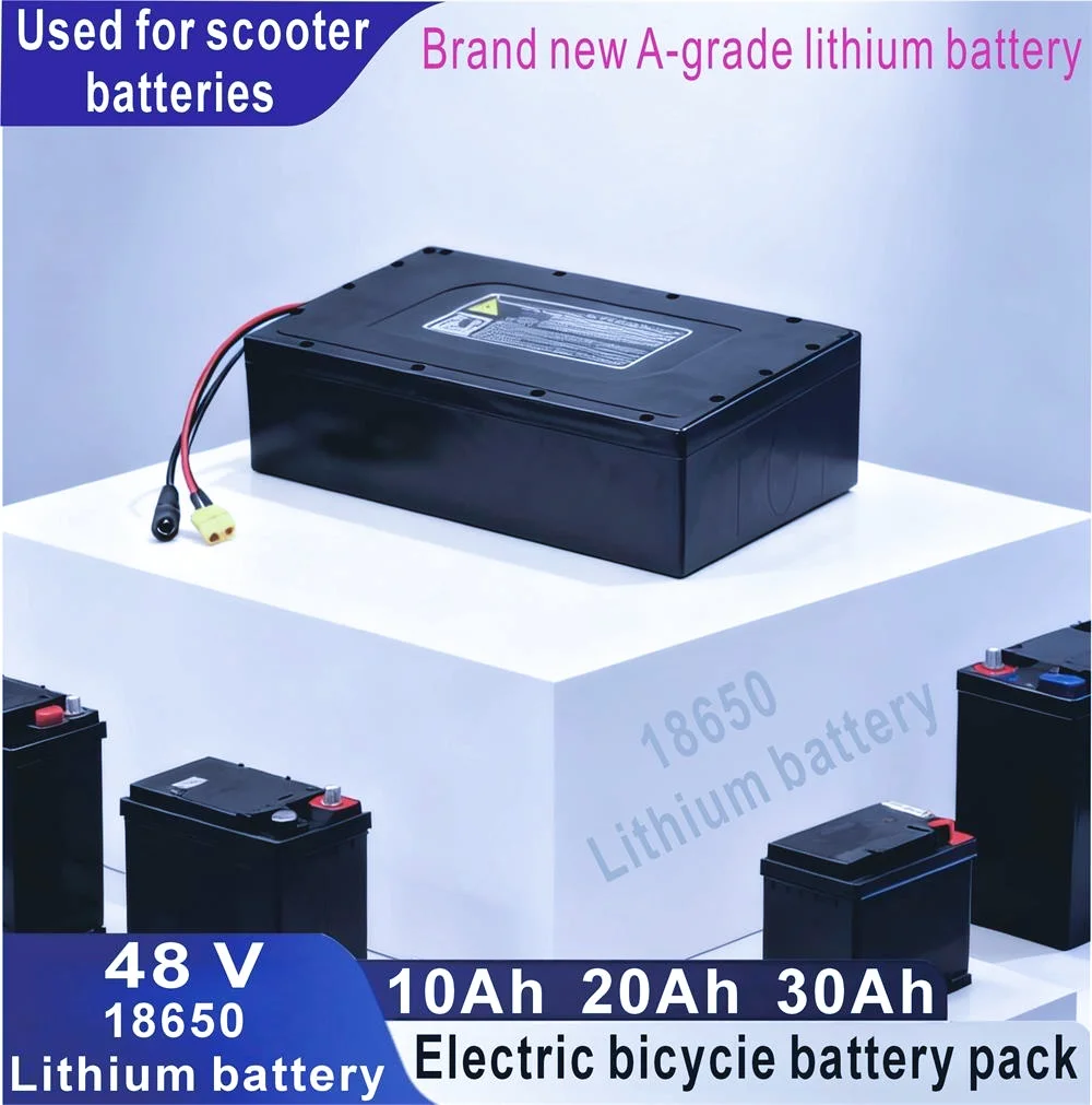 2025 New 48V 10Ah 20Ah 30Ah 18650 Lithium battery Pack Large Capacity Suitable  for 48V 250-1000W Built-in BMS+54.6V2A Charger