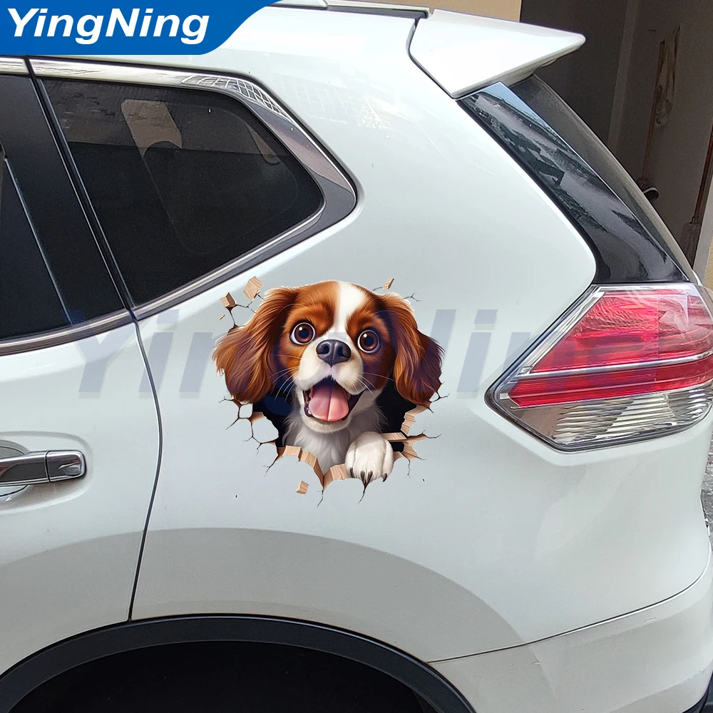

3D-наклейка на автомобиль с изображением собаки породы Кавалер Кинг-Чарльз-спаниель, забавная наклейка с щенком, водонепроницаемая, для защиты от царапин, для автомобиля, стен, домашнего декора