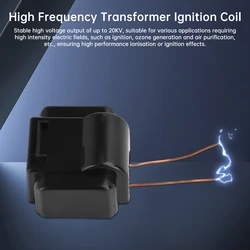 20KV High Power High Voltage High Frequency Transformer High Voltage Package Ignition Coil Oil Fume Purification Negative Ion