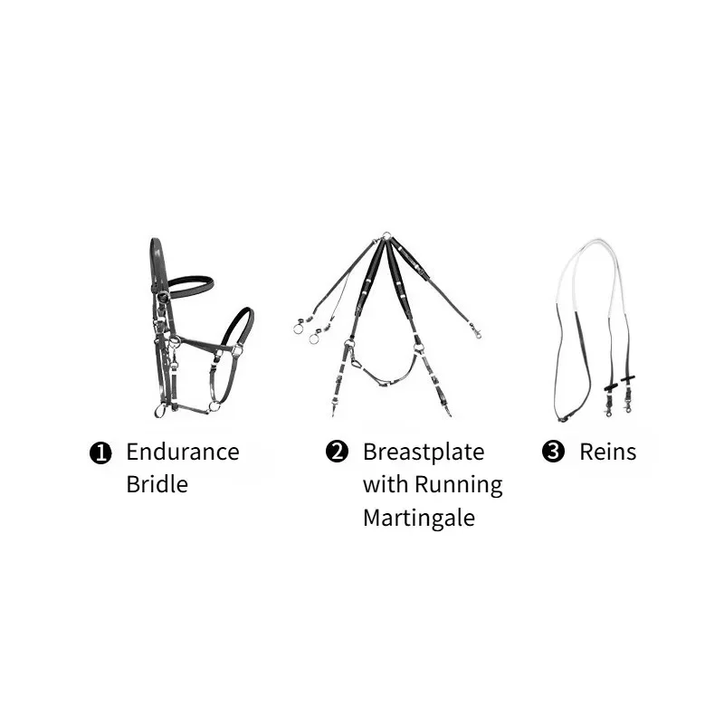 Durable Padded TPU Endurance Bridle Set Adjustable Waterproof Horse Tack with Alloy Breastplate Martingale & Reins One Size