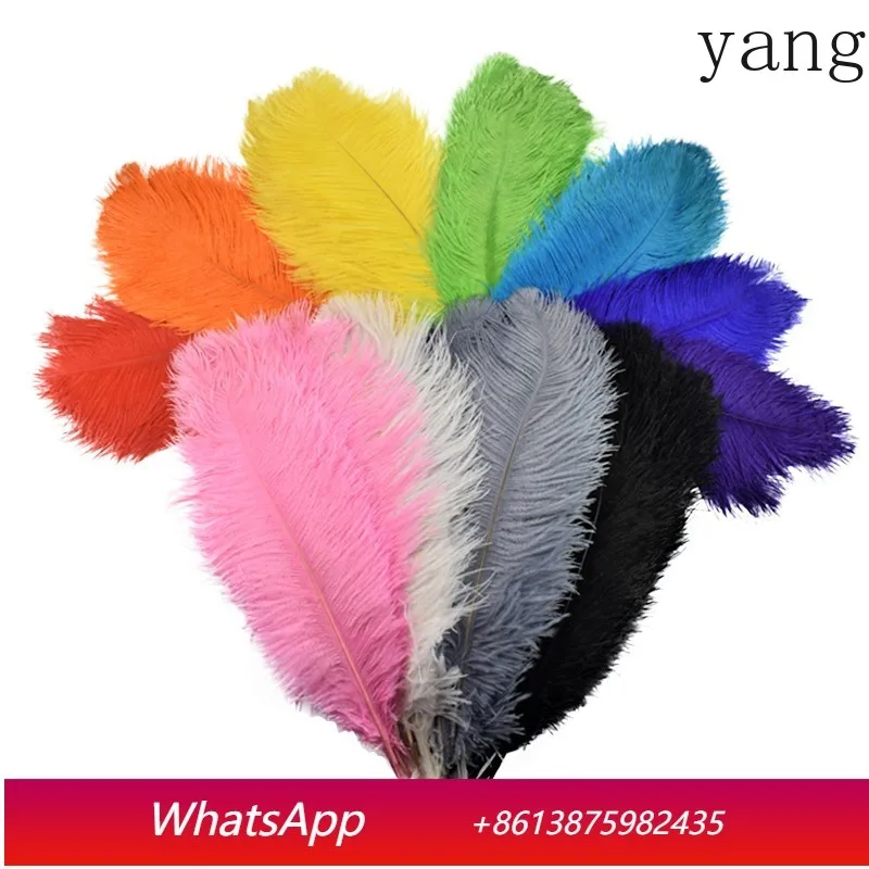 

10Pcs/Lot 45-50cm Ostrich Feathers for Crafts Wedding Party Decoration Handicraft Accessories Table Centerpieces Diy Large Plume